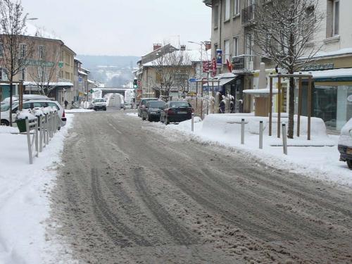 neige100110-11