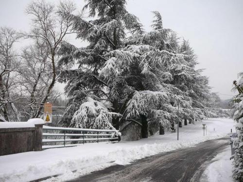 neige100110-14