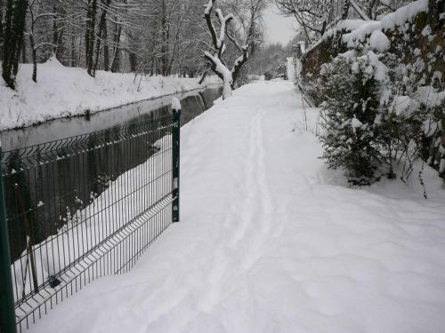 neige100110-15