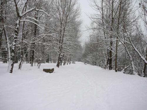 neige100110-16