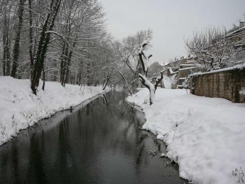 neige100110-17