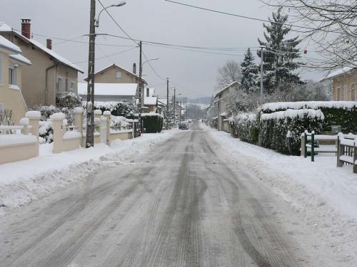 neige100110-19