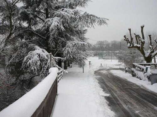 neige100110-2