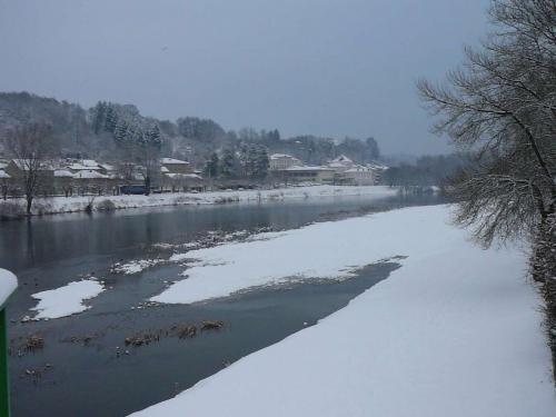 neige100110-21