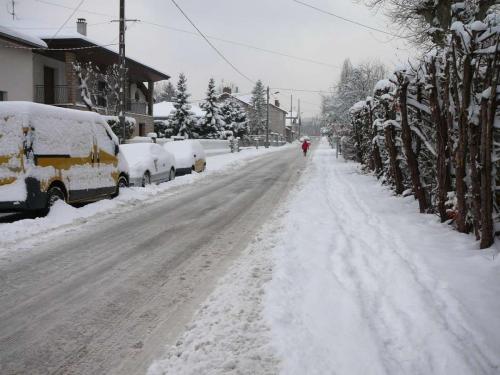 neige100110-22