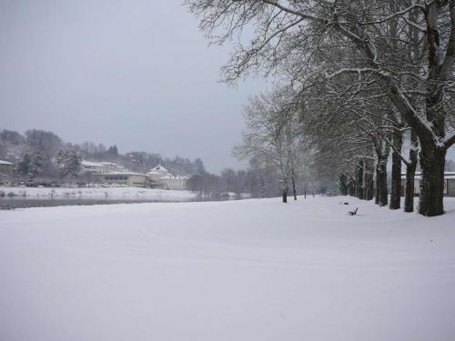 neige100110-24