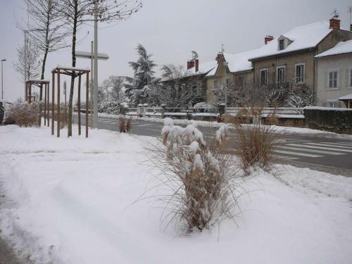 neige100110-4