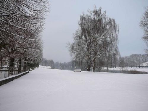 neige100110-5