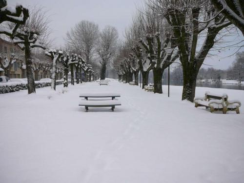 neige100110-6