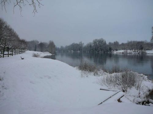 neige100110-7