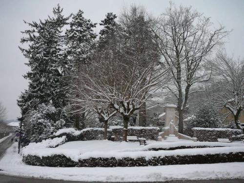 neige100110-8